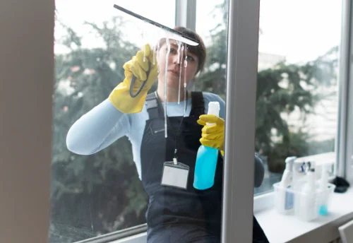 Nettoyage de vitres intérieures et extérieures à Molinet
